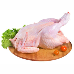 ไก่ตัวไม่มีคอ